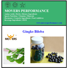 Gingko Biloba/ Vegetable Capsules /No Preservatives